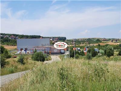 Teren de vanzare in parcul Industrial Selimbar