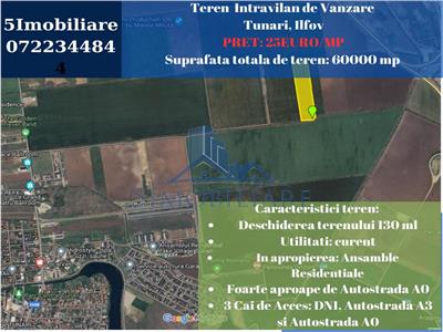 Tunari- Teren Intravilan de Vanzare- 25euro/mp