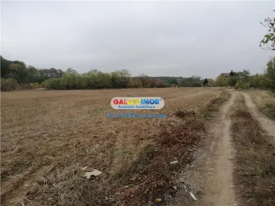 3 Loturi casa Ciolpani str Stadionului cu vedere la Padure - Ciolpani