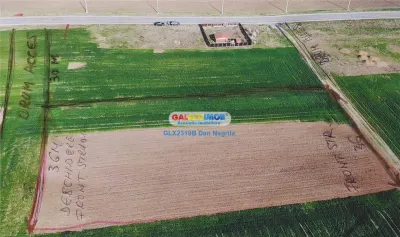 Branesti, intravilan ,3700mp - Branesti