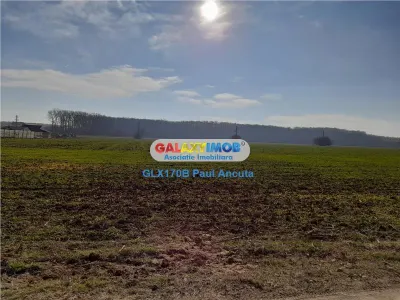Teren latura Padure Snagov Ciofliceni 10000 mp utilitati - Snagov