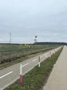 Teren, la padure, Giroc - Giroc