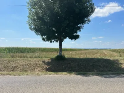 Oportunitate!Vanzare teren intravilan Baicoi,zona Infratirii, - Baicoi