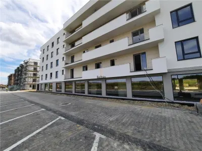 Spatiu Comercial, 700 mp, Sibiu - Sibiu