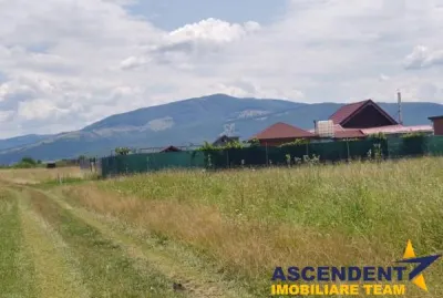 Cu PUZ, Prejmer, Brasov - Prejmer