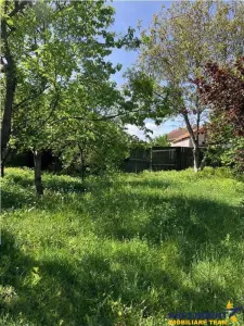 Casa saseasca cu 2.000mp teren, Bod, Brasov - Bod