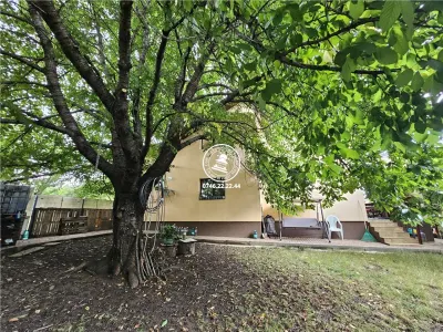 Vila 5 camere , 786 mp teren - Aroneanu , Iasi - Aroneanu