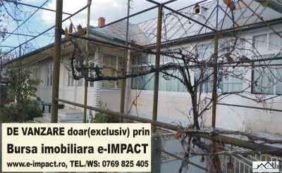 De VINZ. Casa 10 camere+depedinte, Zorleni - Islaz , Id_Bursa 357 - Barlad