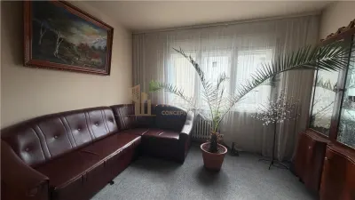 Apartament 300 mp in vila, zona Aleea Romana - Baia Mare