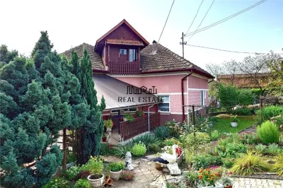 Casa cu Gradina, Parc si Priveliste in Brad, Jd. Hd - Brad