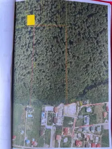 Vanzare teren Voluntari | padure | 1124mp | drum de acces | posibilitate construire casa | - Voluntari