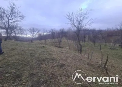 Teren Intravilan de Vanzare Comarnic - Comarnic