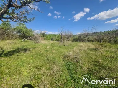 Teren de vanzare in Campina (zona Voila) - Campina