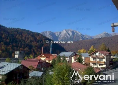 VIla de vanzare in Azuga (zona Semicentrala) - Azuga