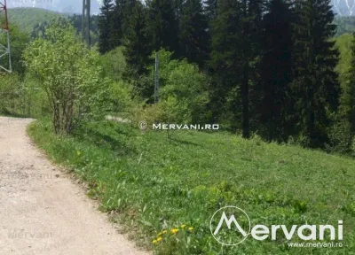 Teren de vanzare in Predeal (zona Semicentrala) - Predeal