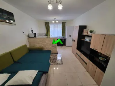 Garsoniera de vanzare Sibiu Vasile Aaron - foto 4