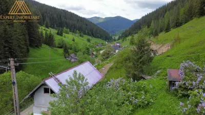 Teren cabana intr-un satuc din Bucovina cu toate utilitati - Iacobeni