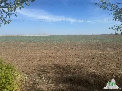 Vanzare teren intravilan construibil , Branesti-Ilfov, 7100 mp, ideal rezidenta sau investitie, scadere de pret. - Branesti