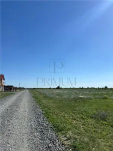 Doua Terenuri, Mosnita Veche, 799/ 612 mp - Mosnita Veche