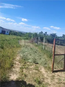 RECO Teren intravilan Paleu - Paleu