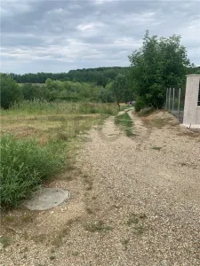 RECO Teren intravilan in Paleu - Paleu