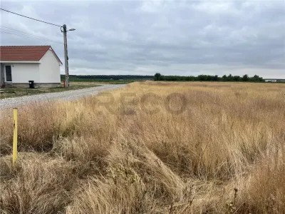 RECO teren Cihei - Cihei
