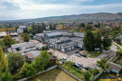 FILM! Ansamblu: Spatii comerciale, birouri, productie si similare, Sfantu Gheorghe, Covasna - Sfantu Gheorghe