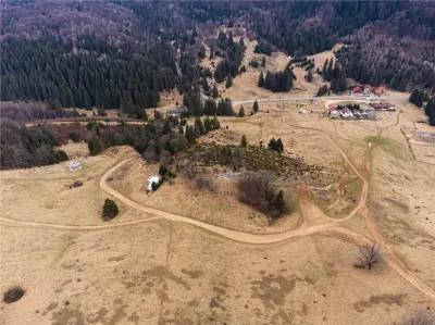 Teren Intravilan 6500 MP- Valea Poienii Aviatorilor ,Aproape de Poiana Brasov si Dino Park - Poiana Brasov
