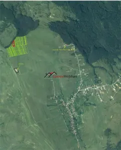 Teren extravilan 4.500 mp în Ciurila â€“ natură, liniște și intimitate, aproape de zona împădurită - Ciurila